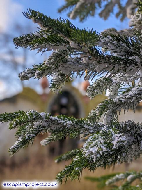 Droomvlucht Behind Christmas Tree