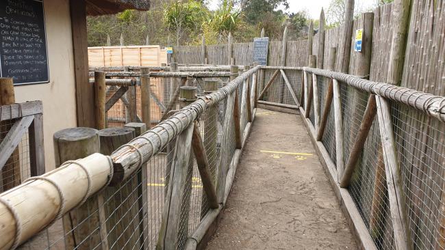 Zufari without queue line fencing