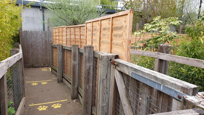 Kobra partial fencing